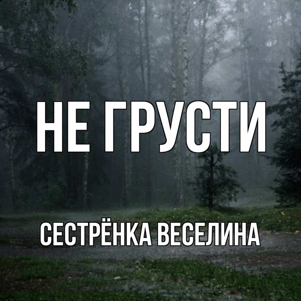 Открытка на каждый день с именем, Сестрёнка-Веселина Не грусти осень Прикольная открытка с пожеланием онлайн скачать бесплатно 