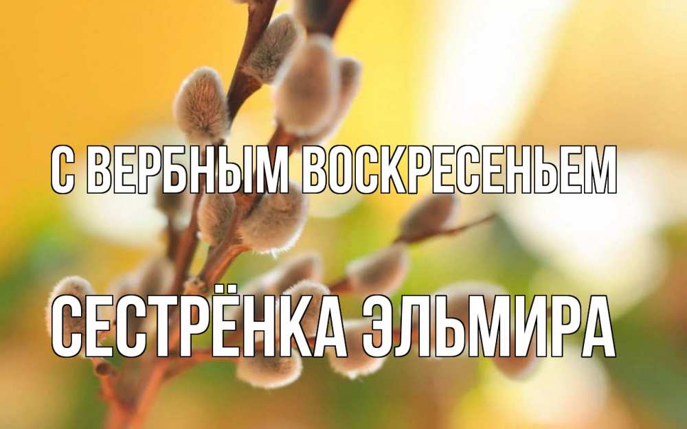 Открытка на каждый день с именем, Сестрёнка-Эльмира С вербным воскресеньем верба Прикольная открытка с пожеланием онлайн скачать бесплатно 