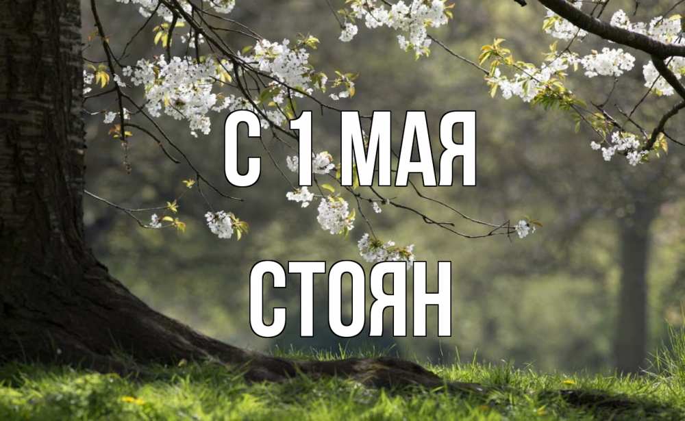 Открытка на каждый день с именем, Стоян С 1 мая С 1 мая Прикольная открытка с пожеланием онлайн скачать бесплатно 