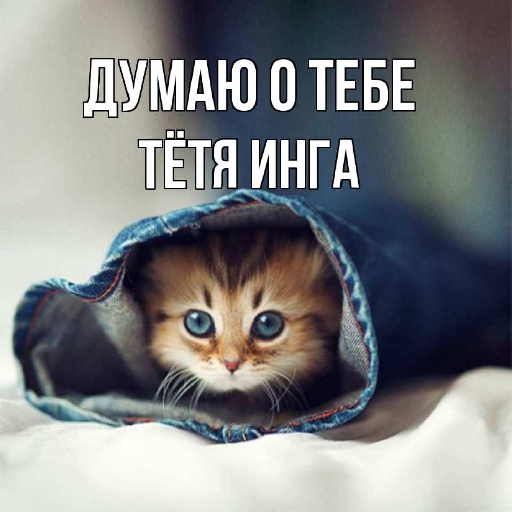 Открытка на каждый день с именем, Тётя-Инга Думаю о тебе мне без тебя плохо Прикольная открытка с пожеланием онлайн скачать бесплатно 
