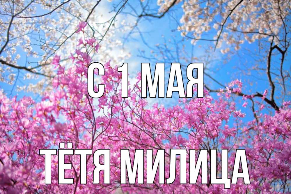 Открытка на каждый день с именем, Тётя-Милица С 1 мая С 1 мая Прикольная открытка с пожеланием онлайн скачать бесплатно 