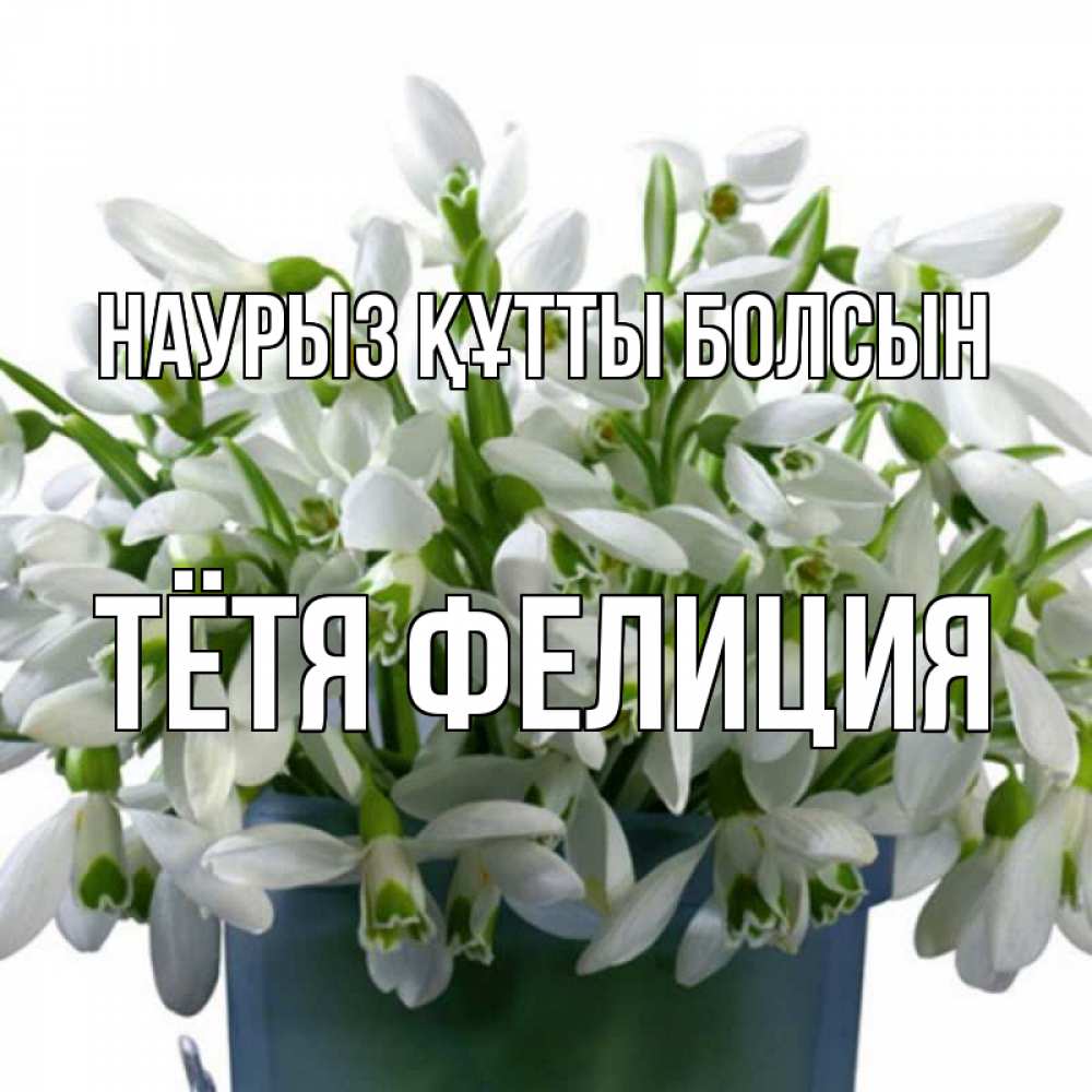 Открытка на каждый день с именем, Тётя-Фелиция Наурыз құтты болсын цветы к наурызу Прикольная открытка с пожеланием онлайн скачать бесплатно 