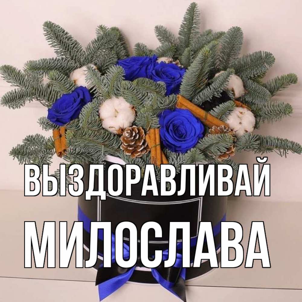 Открытка на каждый день с именем, Милослава Выздоравливай короче кто то загрузил эти шишки Прикольная открытка с пожеланием онлайн скачать бесплатно 