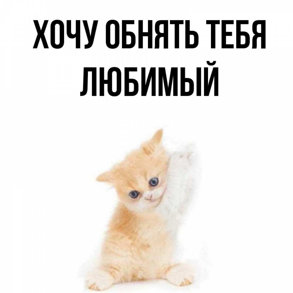 Картинки скучаю люблю обнимаю, мира картинки прикольные