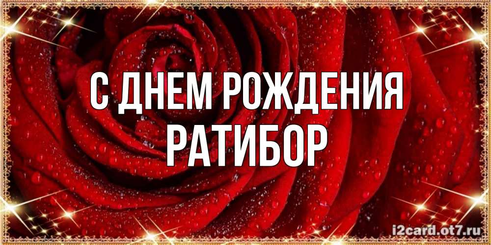 Открытка на каждый день с именем, Ратибор С днем рождения роса на розе блестящая в лучах солнца Прикольная открытка с пожеланием онлайн скачать бесплатно 