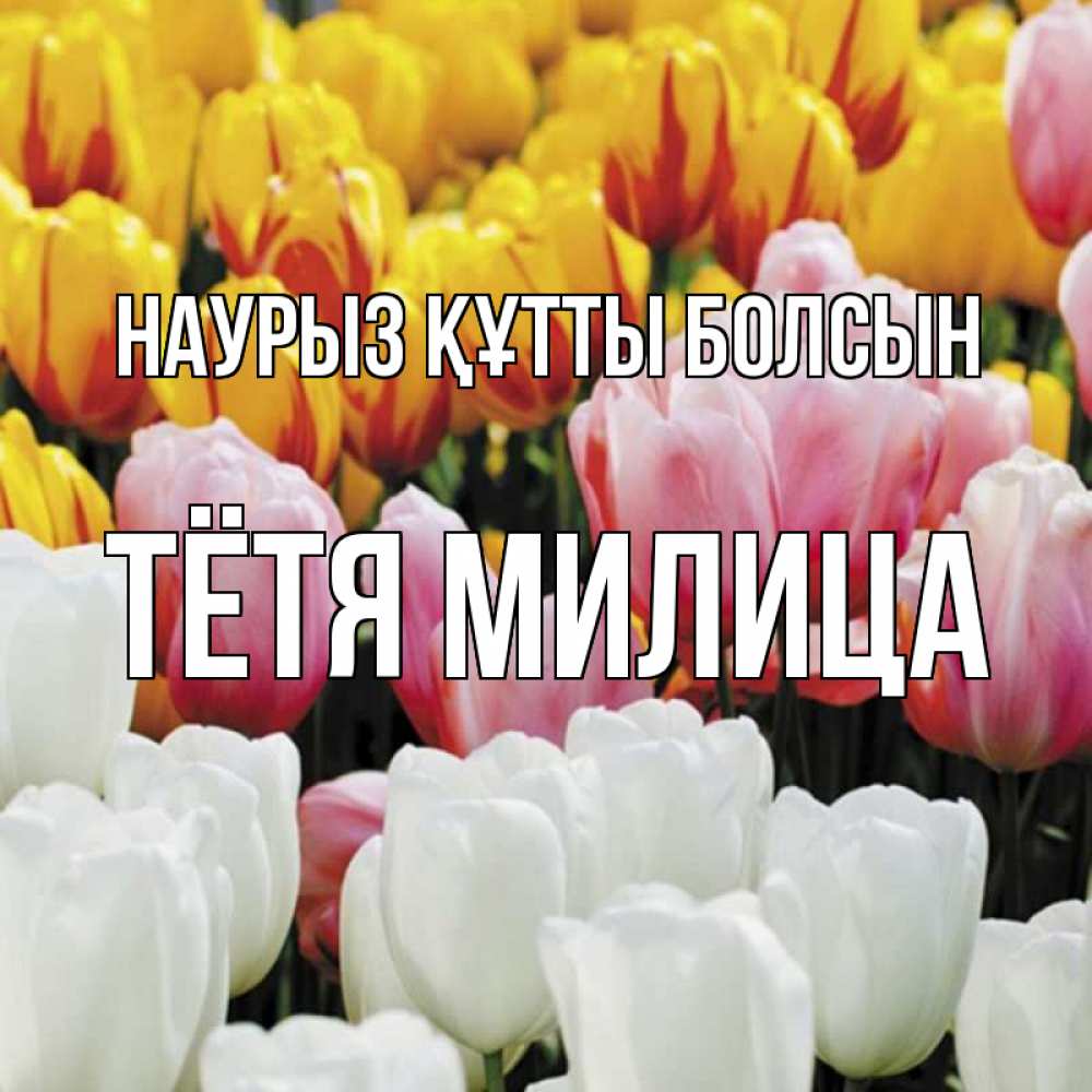 Открытка на каждый день с именем, Тётя-Милица Наурыз құтты болсын разноцветные цветы Прикольная открытка с пожеланием онлайн скачать бесплатно 