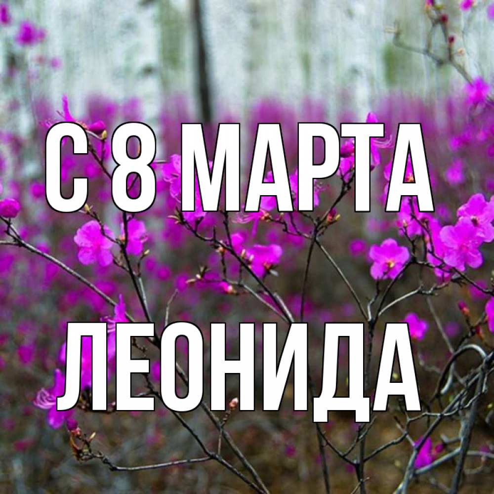 Картинка С 8 марта, Леонида