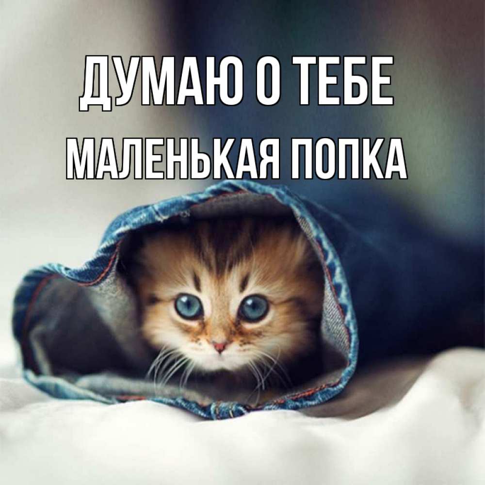 Открытка на каждый день с именем, Маленькая-попка Думаю о тебе мне без тебя плохо Прикольная открытка с пожеланием онлайн скачать бесплатно 