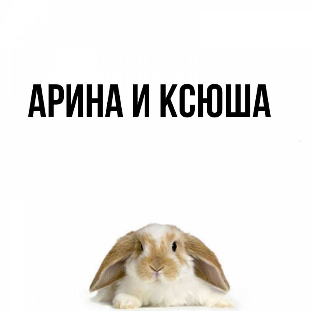 Открытка на каждый день с именем, Арина-и-Ксюша Главная подписать своими руками онлайн Прикольная открытка с пожеланием онлайн скачать бесплатно 