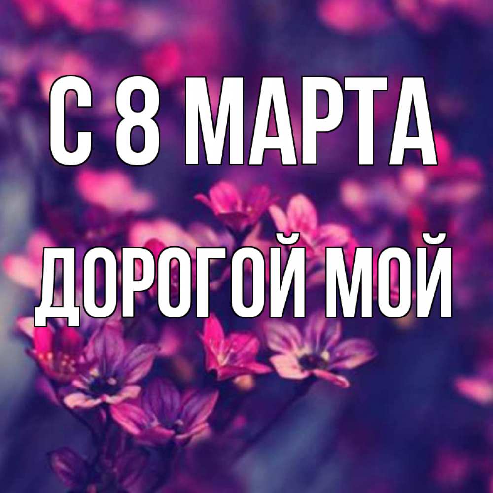 Открытка на каждый день с именем, Дорогой-мой С 8 МАРТА небольшие цветы 1 Прикольная открытка с пожеланием онлайн скачать бесплатно 