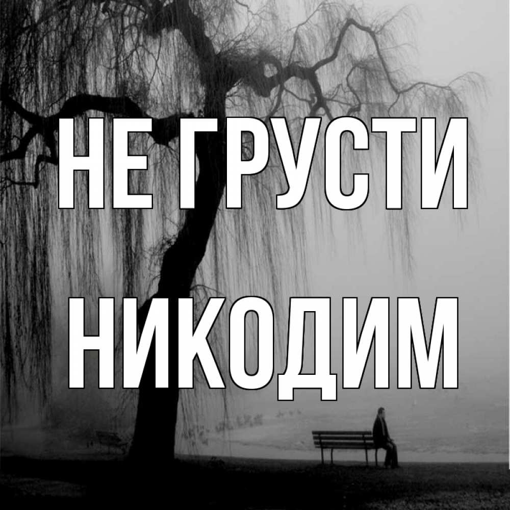 Открытка на каждый день с именем, Никодим Не грусти висящие ветки дерева и лавочка под деревом Прикольная открытка с пожеланием онлайн скачать бесплатно 