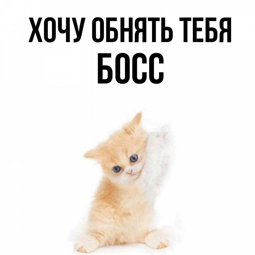 Открытка на каждый день с именем, Босс Хочу обнять тебя я хочу очень скорее обнимаешек Прикольная открытка с пожеланием онлайн скачать бесплатно 