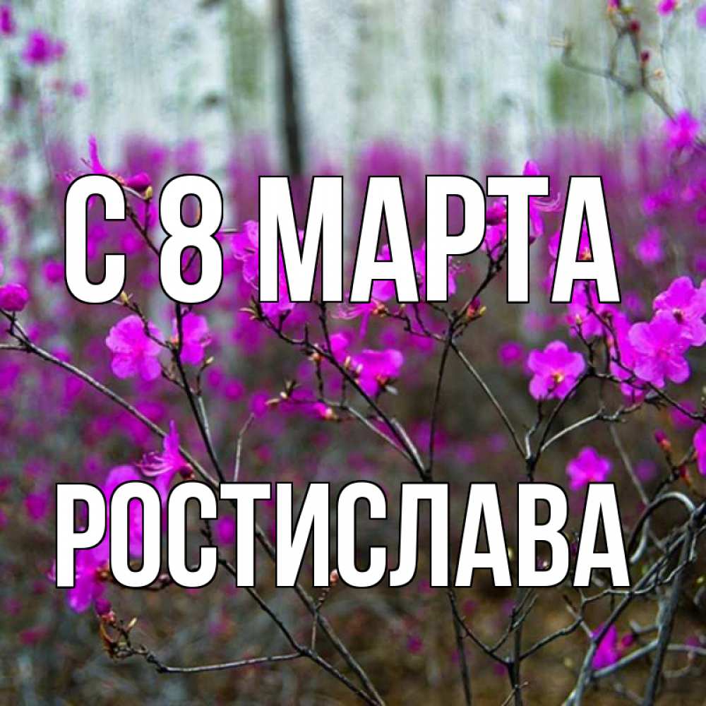Открытка на каждый день с именем, Ростислава С 8 марта дикие цветы Прикольная открытка с пожеланием онлайн скачать бесплатно 