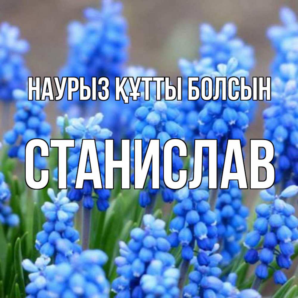 Картинка Наурыз құтты болсын, Станислав