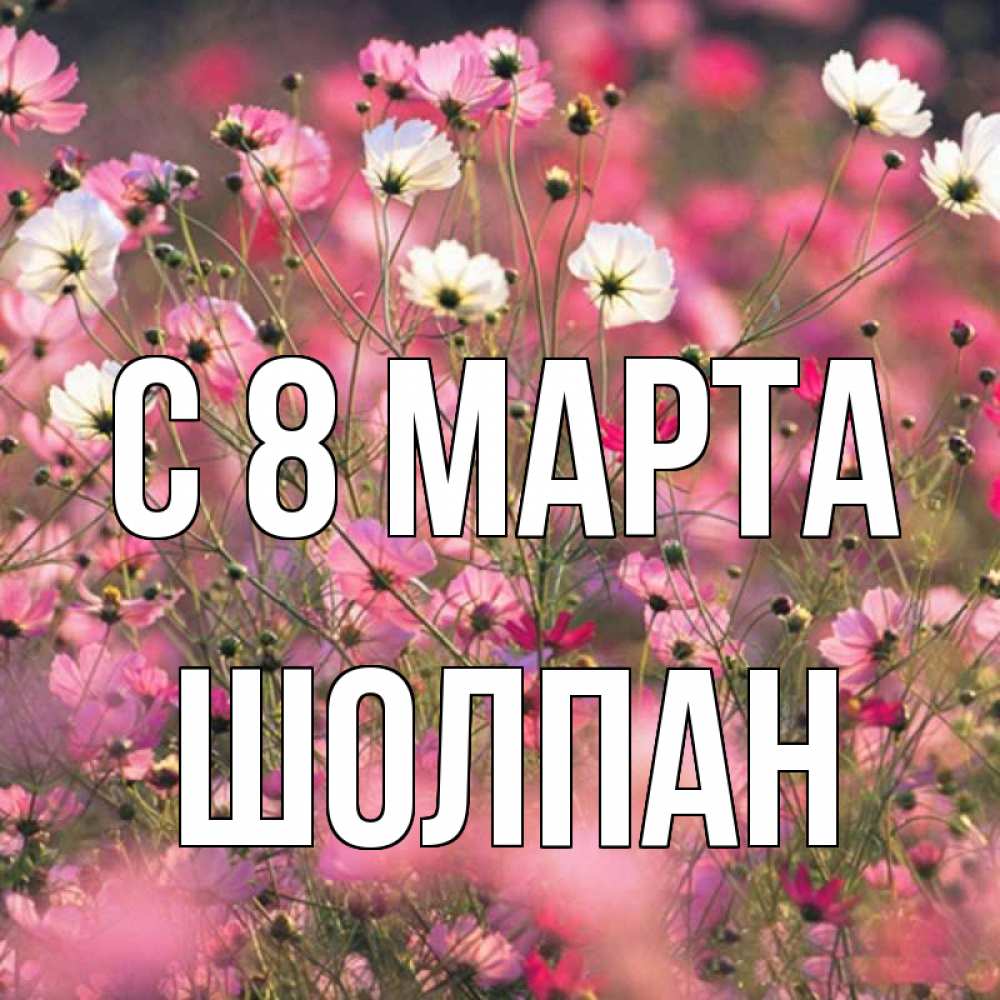 Открытка на каждый день с именем, Шолпан С 8 МАРТА красиво 1 Прикольная открытка с пожеланием онлайн скачать бесплатно 