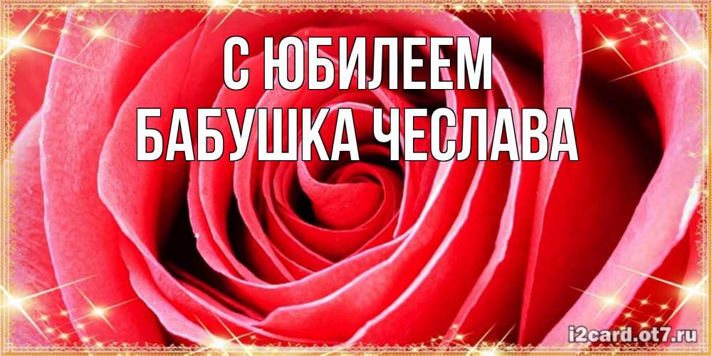 Открытка на каждый день с именем, Бабушка-Чеслава С юбилеем розовая роза очень крупный бутон Прикольная открытка с пожеланием онлайн скачать бесплатно 