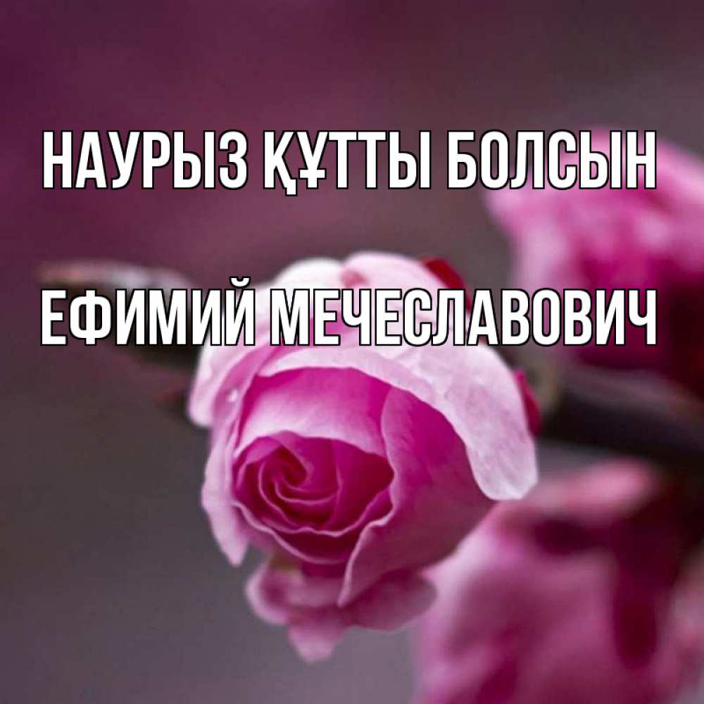 Картинка Наурыз құтты болсын, Ефимий Мечеславович