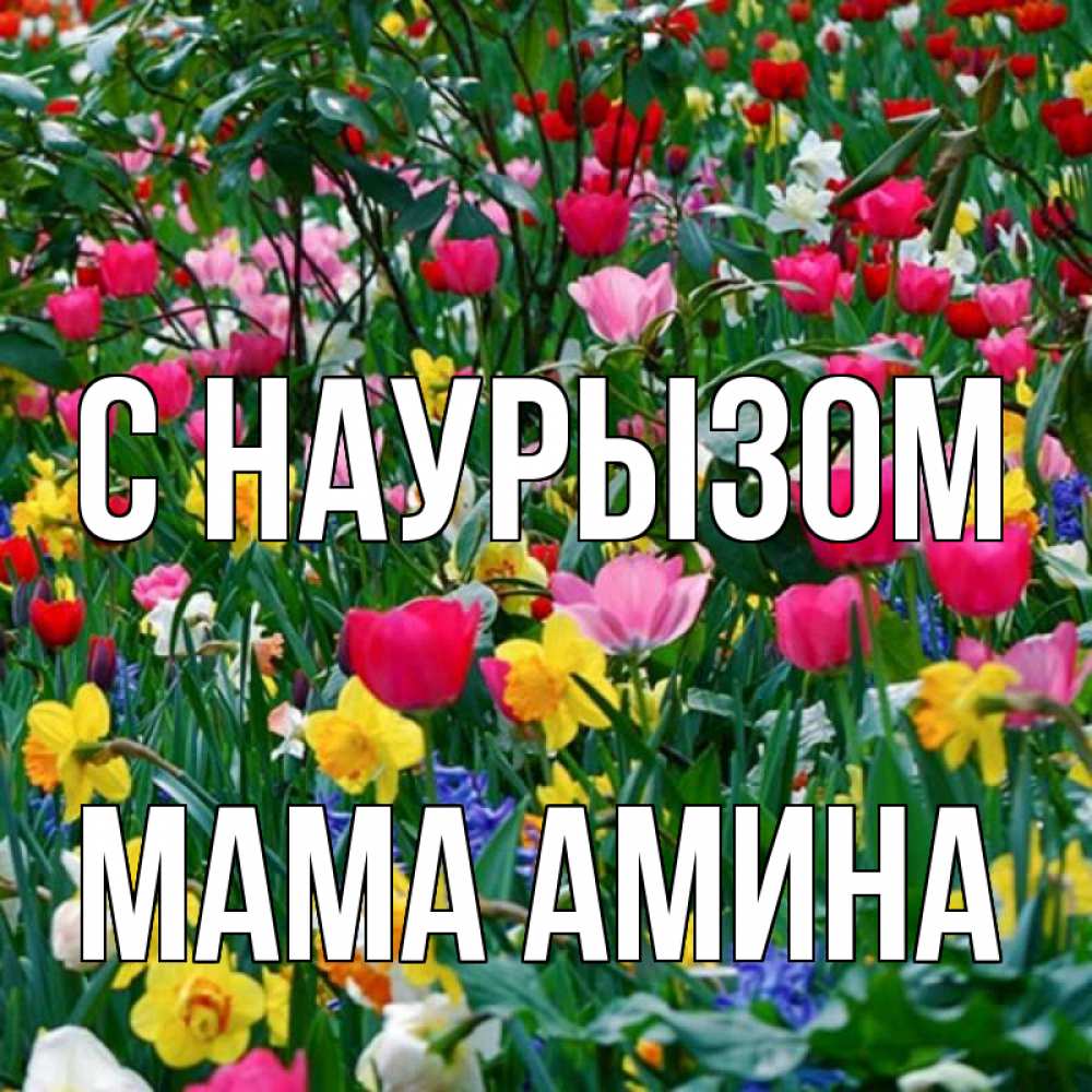 Открытка на каждый день с именем, Мама-Амина С наурызом с наурызом праздником весны поздравления для женщины Прикольная открытка с пожеланием онлайн скачать бесплатно 