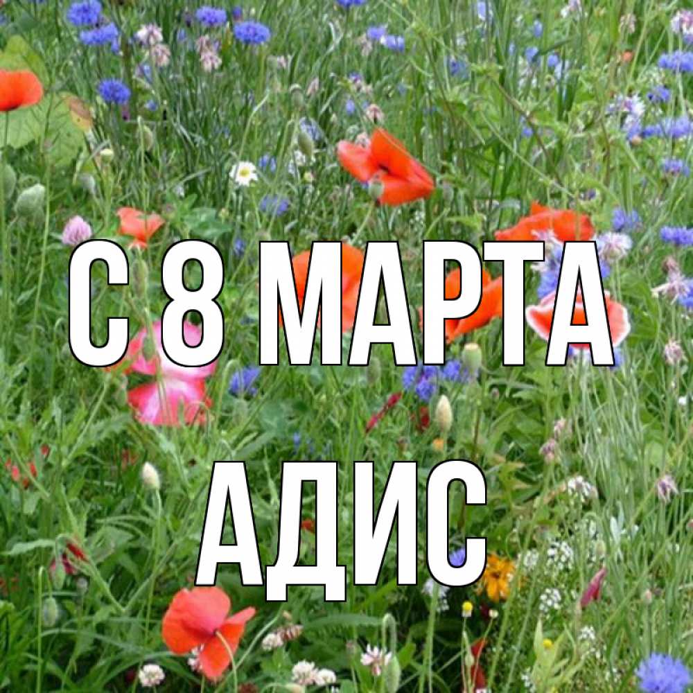 Открытка на каждый день с именем, Адис С 8 МАРТА международный женский день 4 Прикольная открытка с пожеланием онлайн скачать бесплатно 