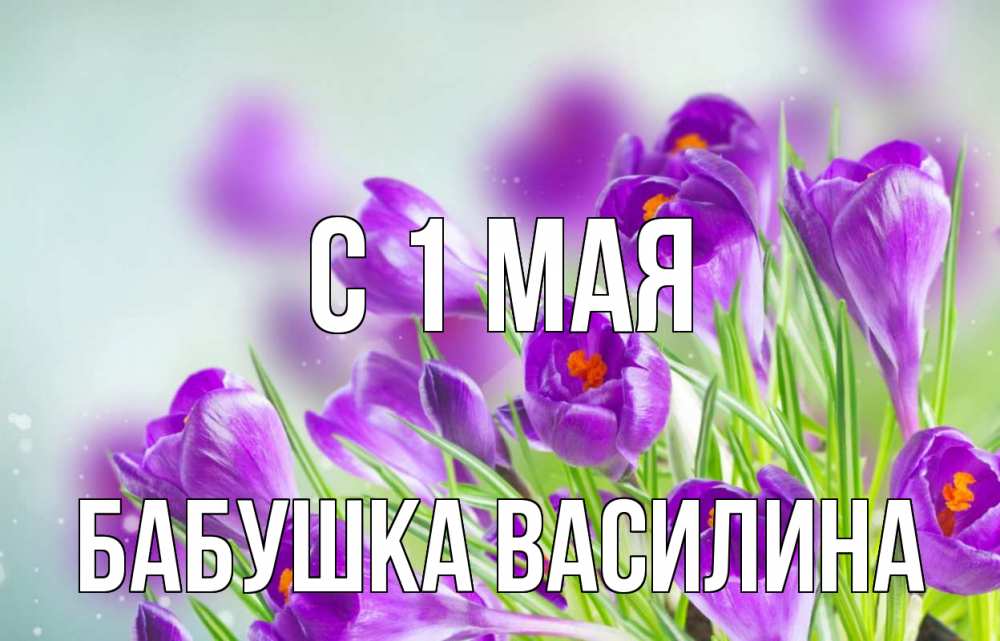 Открытка на каждый день с именем, Бабушка-Василина С 1 мая 1 мая Прикольная открытка с пожеланием онлайн скачать бесплатно 