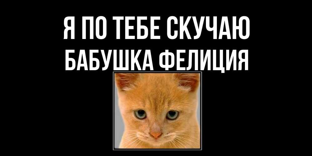 Открытка на каждый день с именем, Бабушка-Фелиция Я по тебе скучаю открытки рыжий котенок скучает по тебе Прикольная открытка с пожеланием онлайн скачать бесплатно 