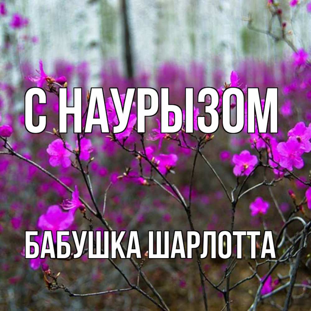 Открытка на каждый день с именем, Бабушка-Шарлотта С наурызом дикие цветы Прикольная открытка с пожеланием онлайн скачать бесплатно 