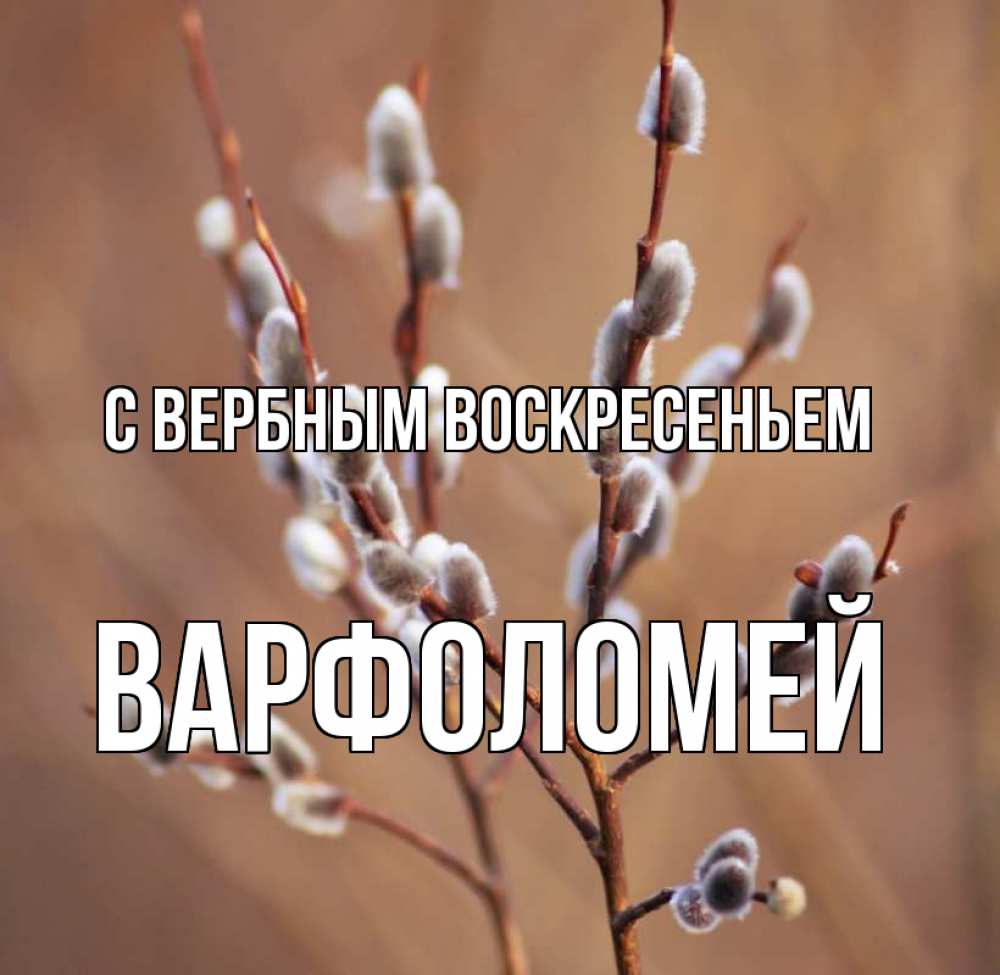 Открытка на каждый день с именем, Варфоломей С вербным воскресеньем верба Прикольная открытка с пожеланием онлайн скачать бесплатно 