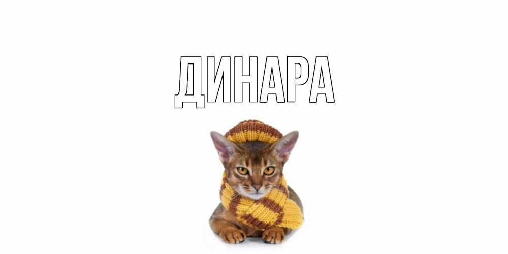 Открытка на каждый день с именем, Динара Главная родные не болейте Прикольная открытка с пожеланием онлайн скачать бесплатно 