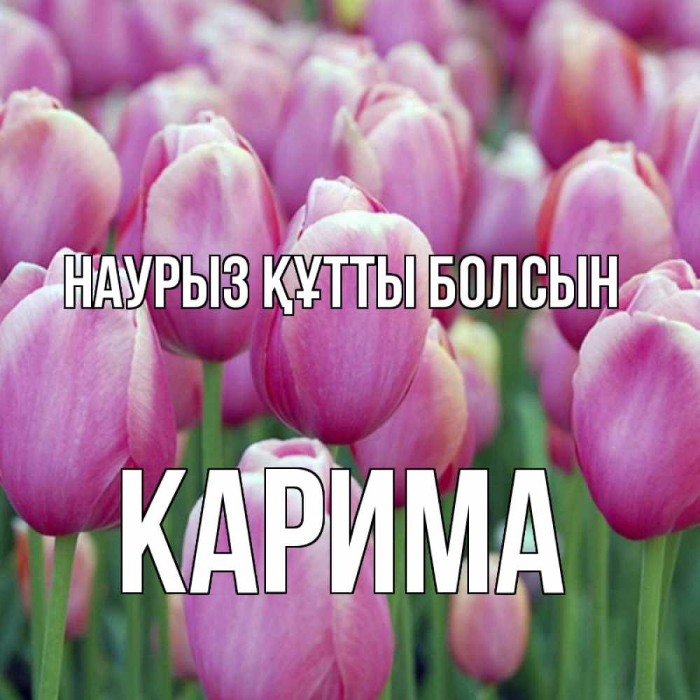 Открытка на каждый день с именем, Карима Наурыз құтты болсын на наурыз  день 3 Прикольная открытка с пожеланием онлайн скачать бесплатно 