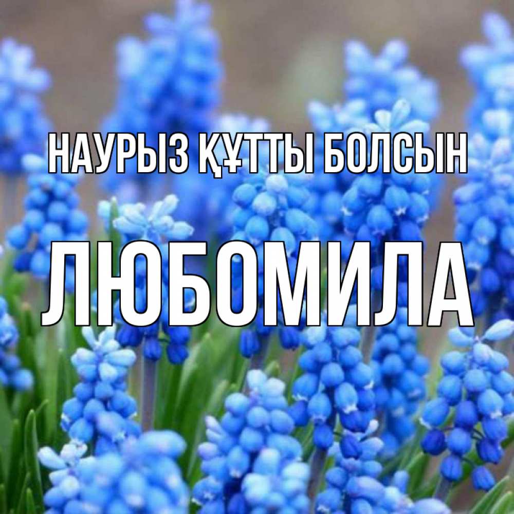 Открытка на каждый день с именем, Любомила Наурыз құтты болсын Поздравительная открытка для женщин с цветами на праздничную дату Прикольная открытка с пожеланием онлайн скачать бесплатно 