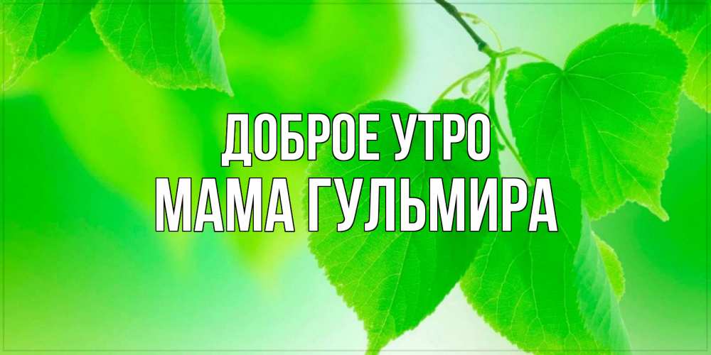 Открытка на каждый день с именем, Мама-Гульмира Доброе утро доброе утро с березовыми листьями Прикольная открытка с пожеланием онлайн скачать бесплатно 