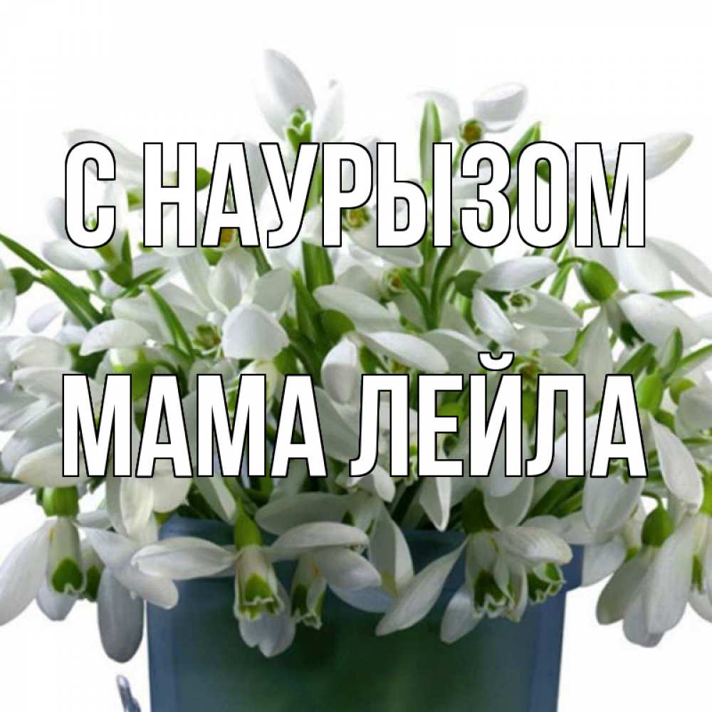 Открытка на каждый день с именем, Мама-Лейла С наурызом цветы к наурызу новый год в Казахстане Прикольная открытка с пожеланием онлайн скачать бесплатно 