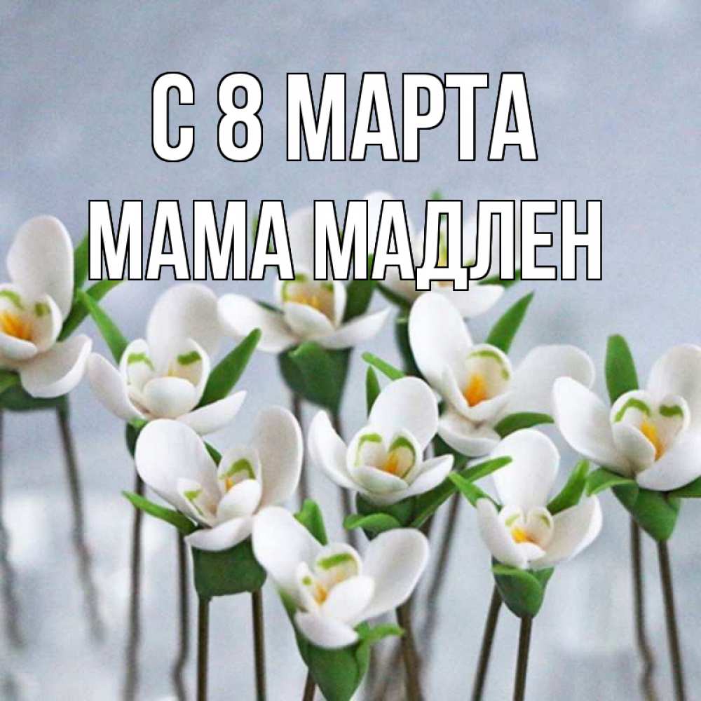 Открытка на каждый день с именем, Мама-Мадлен С 8 марта весенние цветы Прикольная открытка с пожеланием онлайн скачать бесплатно 