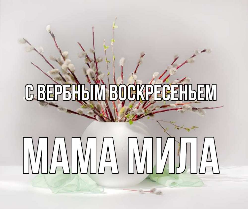Открытка на каждый день с именем, Мама-Мила С вербным воскресеньем верба Прикольная открытка с пожеланием онлайн скачать бесплатно 