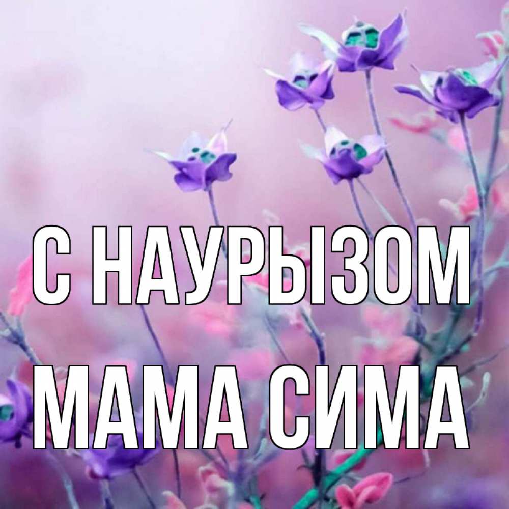 Открытка на каждый день с именем, Мама-Сима С наурызом международный женский день 2 Прикольная открытка с пожеланием онлайн скачать бесплатно 