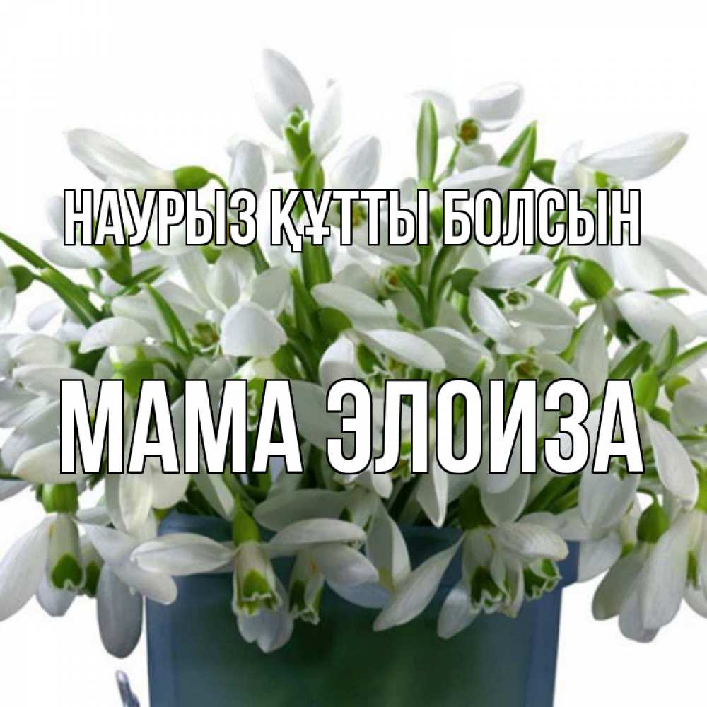 Открытка на каждый день с именем, Мама-Элоиза Наурыз құтты болсын цветы к наурызу Прикольная открытка с пожеланием онлайн скачать бесплатно 