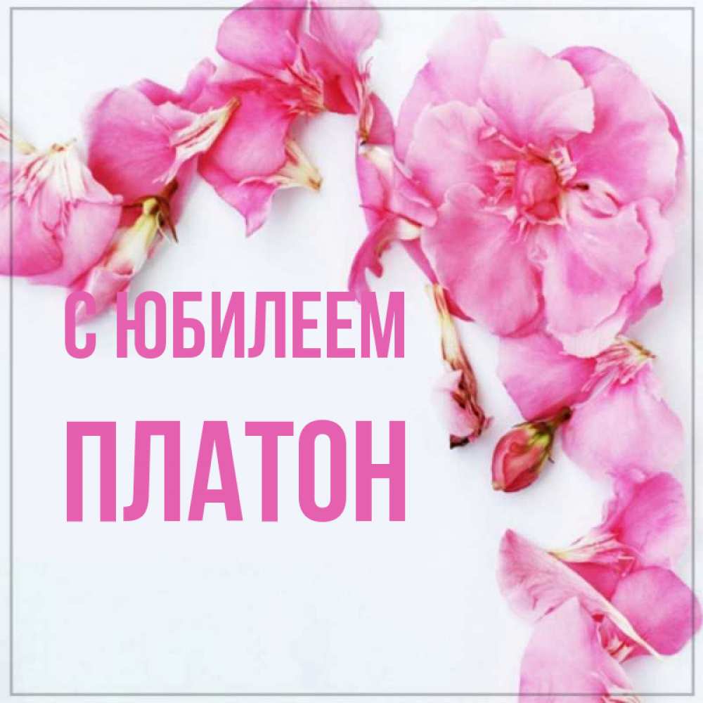 Открытка на каждый день с именем, Платон С юбилеем Красивая открытка для поздравления с днем рождения Прикольная открытка с пожеланием онлайн скачать бесплатно 