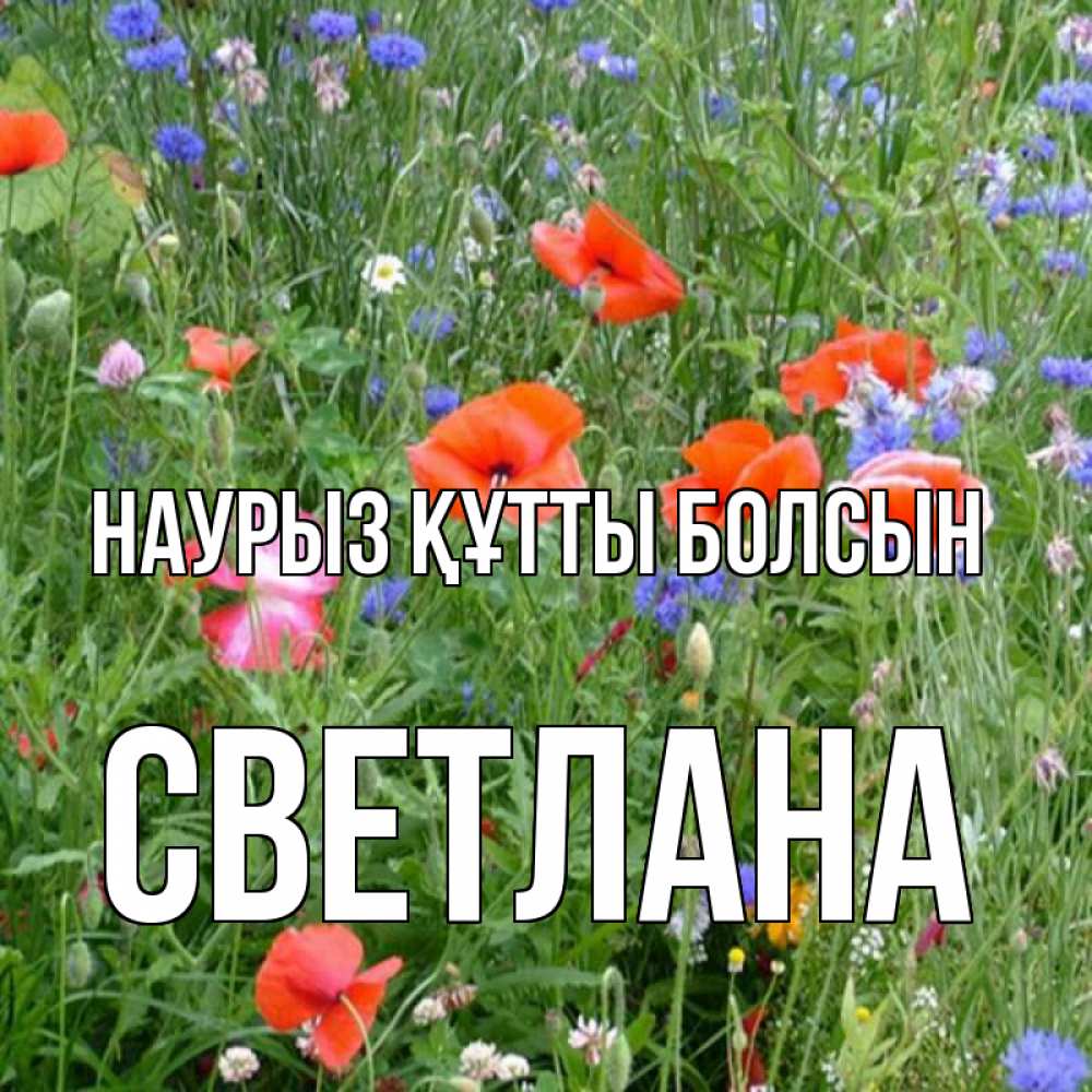 Открытка на каждый день с именем, Светлана Наурыз құтты болсын наурыз  4 Прикольная открытка с пожеланием онлайн скачать бесплатно 