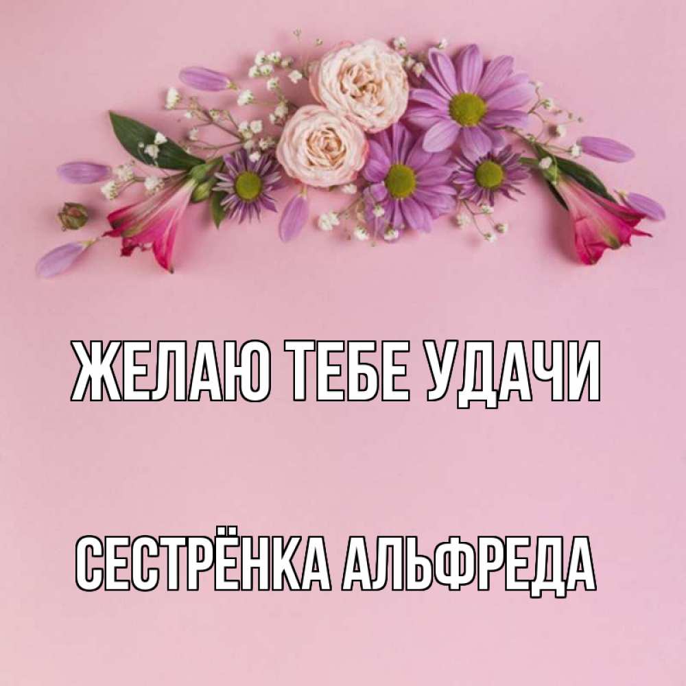 Открытка на каждый день с именем, Сестрёнка-Альфреда Желаю тебе удачи розовый фон Прикольная открытка с пожеланием онлайн скачать бесплатно 