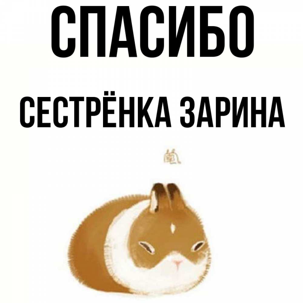 Открытка на каждый день с именем, Сестрёнка-Зарина Спасибо коричнево белый домашний питомец Прикольная открытка с пожеланием онлайн скачать бесплатно 