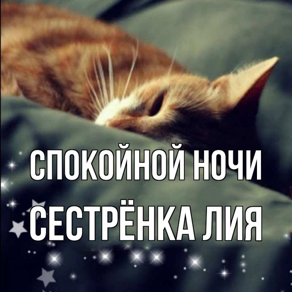 Открытка на каждый день с именем, Сестрёнка-Лия Спокойной ночи кроватка Прикольная открытка с пожеланием онлайн скачать бесплатно 
