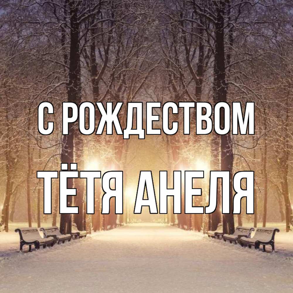 Открытка на каждый день с именем, Тётя-Анеля С рождеством зима, парк, фонарь, лес Прикольная открытка с пожеланием онлайн скачать бесплатно 
