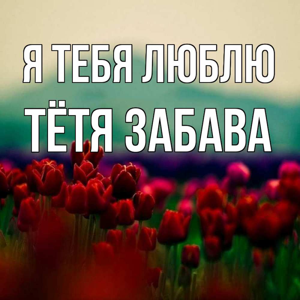 Открытка на каждый день с именем, Тётя-Забава Я тебя люблю тюльпаны 4 Прикольная открытка с пожеланием онлайн скачать бесплатно 