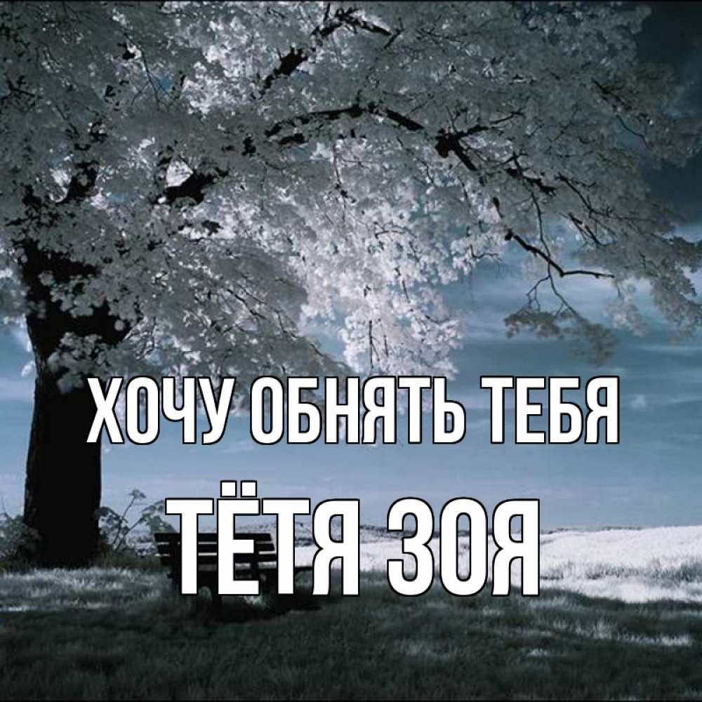 Открытка на каждый день с именем, Тётя-Зоя Хочу обнять тебя дерево Прикольная открытка с пожеланием онлайн скачать бесплатно 