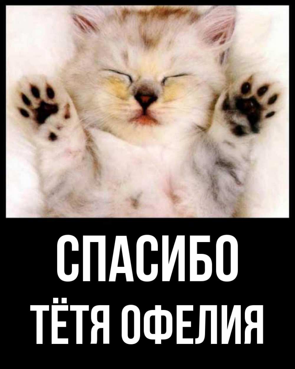 Открытка на каждый день с именем, Тётя-Офелия Спасибо маленький котенок Прикольная открытка с пожеланием онлайн скачать бесплатно 