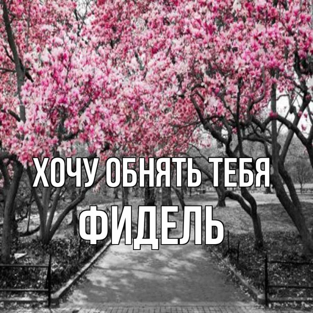 Открытка на каждый день с именем, Фидель Хочу обнять тебя обработанное фото Прикольная открытка с пожеланием онлайн скачать бесплатно 