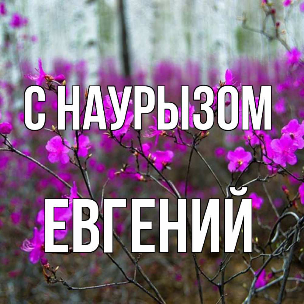 Варенька дзен