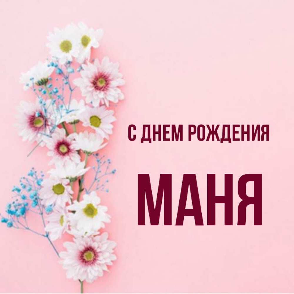 Манило имя. Маня с днем рождения. С днем рождения Моня.