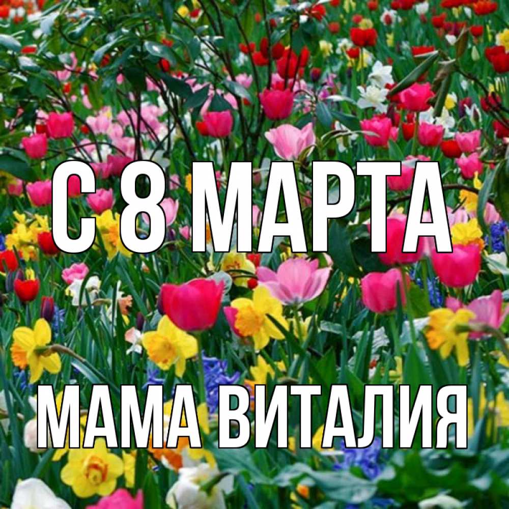 Открытка на каждый день с именем, Мама-Виталия С 8 марта с международным женским днем поздравления для женщины Прикольная открытка с пожеланием онлайн скачать бесплатно 