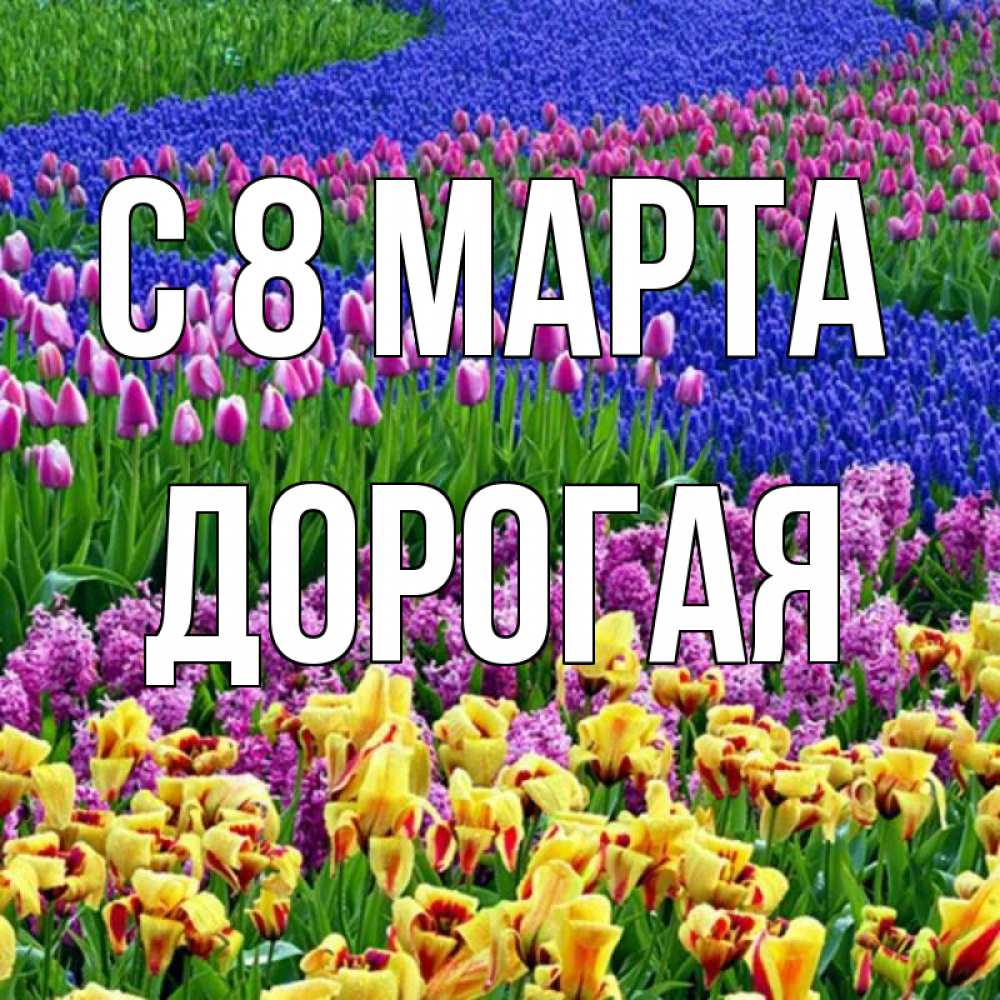 Открытка на каждый день с именем, Дорогая С 8 марта цветы Прикольная открытка с пожеланием онлайн скачать бесплатно 